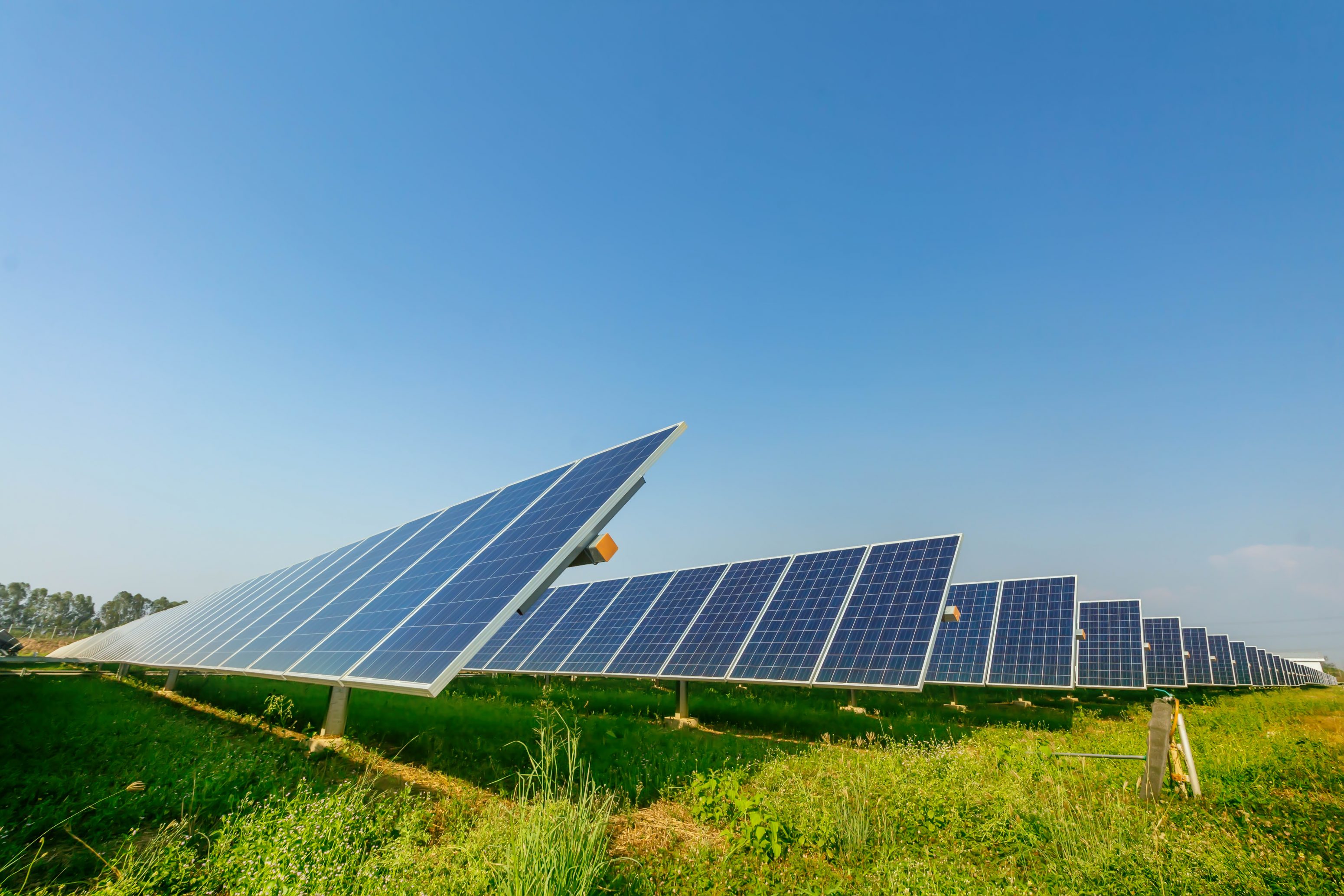 Painéis solares - Blog Famatel artigo sobre Economia de Energia