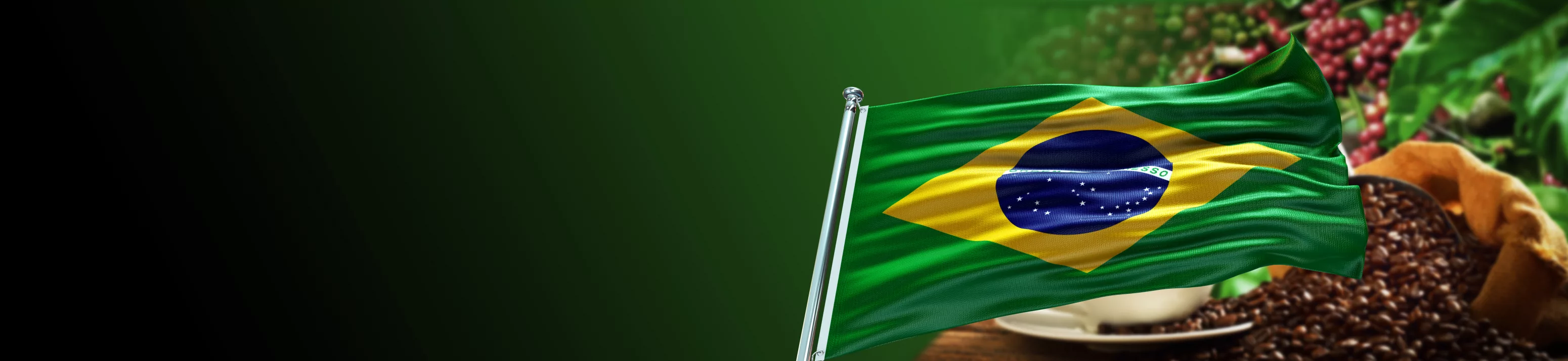 Valorização da cultura brasileira - Famatel Blog